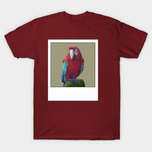 Scarlet Macaw- Digital illustration T-Shirt